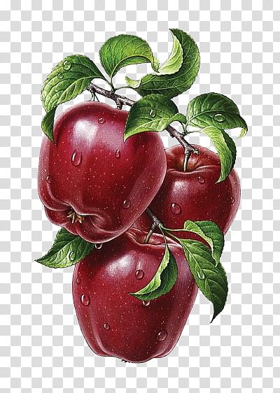 red apple illustration transparent background PNG clipart
