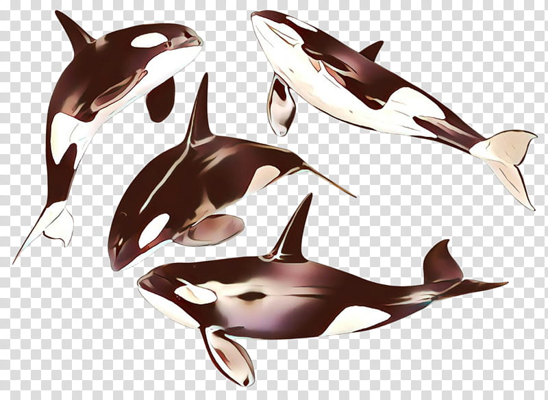 dolphin marine mammal killer whale cetacea fin, Cartoon, Common Dolphins, Bottlenose Dolphin, Shortbeaked Common Dolphin transparent background PNG clipart