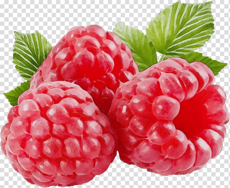 Indian Family, Raspberry Ketone, Food, Perfume, Red Raspberry, Weight Loss, Fruit, Taw9eel transparent background PNG clipart