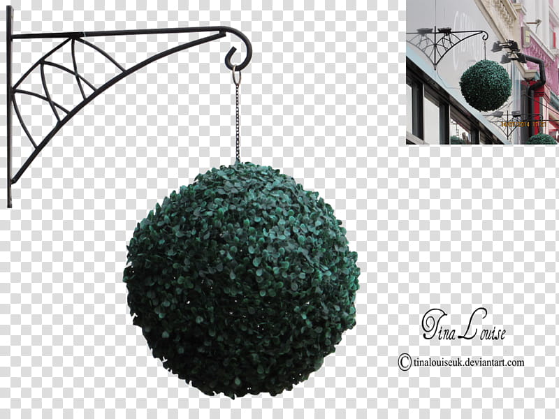 Hanging plant, green ball plant hung on brown metal rack transparent background PNG clipart
