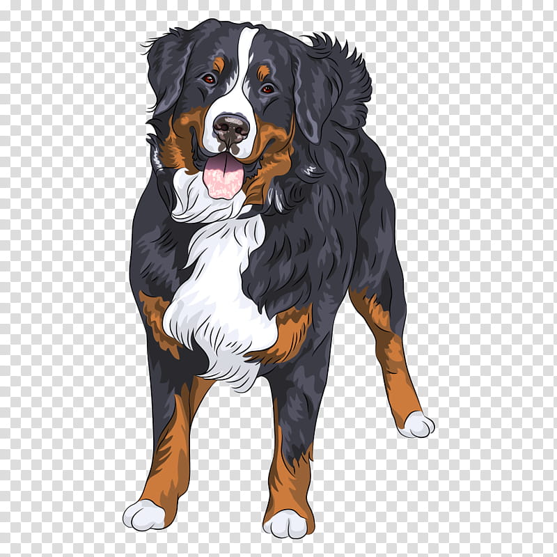 Mountain, Bernese Mountain Dog, Puppy, Shirt, Clothing, Mans Best Friend, Pet, Breed transparent background PNG clipart