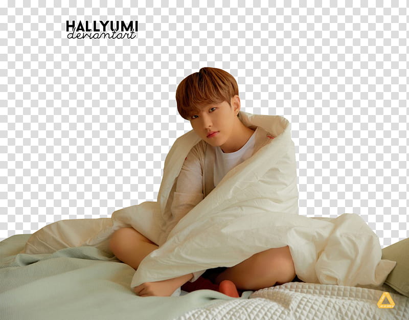 SEVENTEEN You Make My Day Meet Ver, man sitting on bed with white comforter transparent background PNG clipart