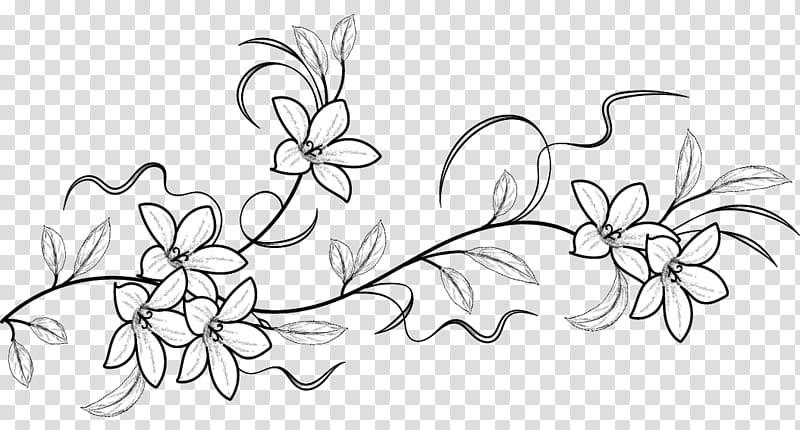 Flowers Decorative Brusheshy, white and black flower illustration transparent background PNG clipart