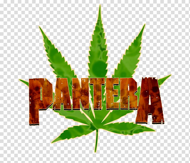 Cannabis Leaf, Medical Cannabis, Cannabis Smoking, Legality Of Cannabis, Cannabis Sativa, Cannabis Consumption, Legalization, Medical Cannabis Card transparent background PNG clipart