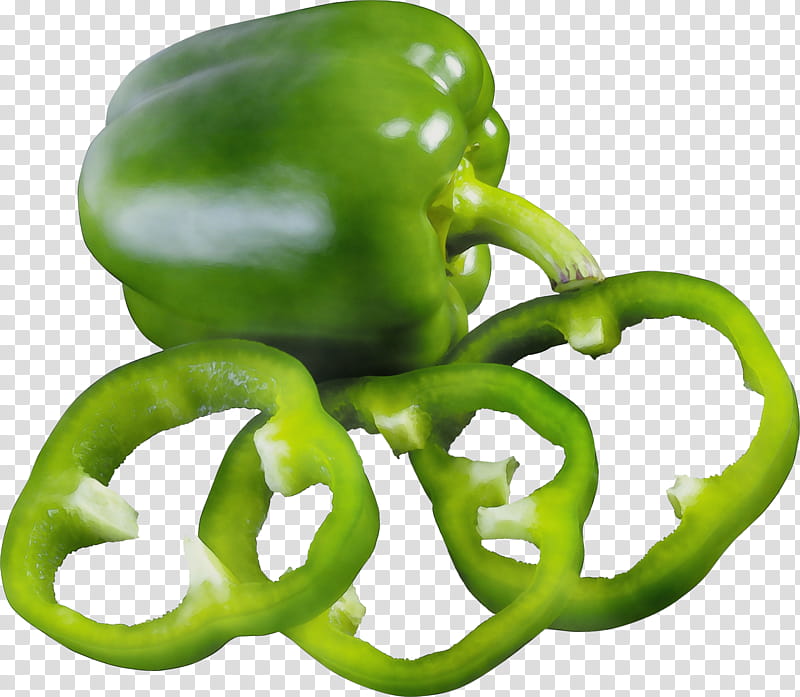 bell pepper green bell pepper bell peppers and chili peppers pimiento green, Watercolor, Paint, Wet Ink, Capsicum, Vegetable, Plant, Octopus transparent background PNG clipart