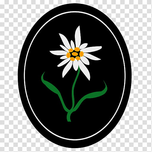 Circle Logo, Flower, Symbol, Fullmetal Alchemist, Alchemy, Yellow, Flora, Plant transparent background PNG clipart
