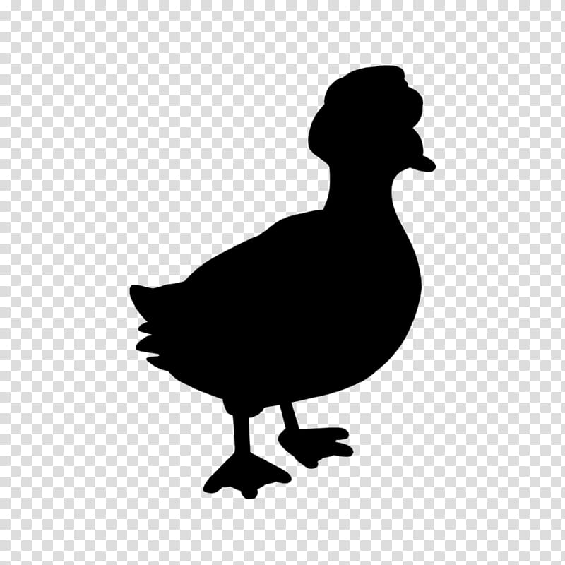 Duck, Goose, Silhouette, Neck, Beak, Chicken As Food, Bird, Water Bird ...