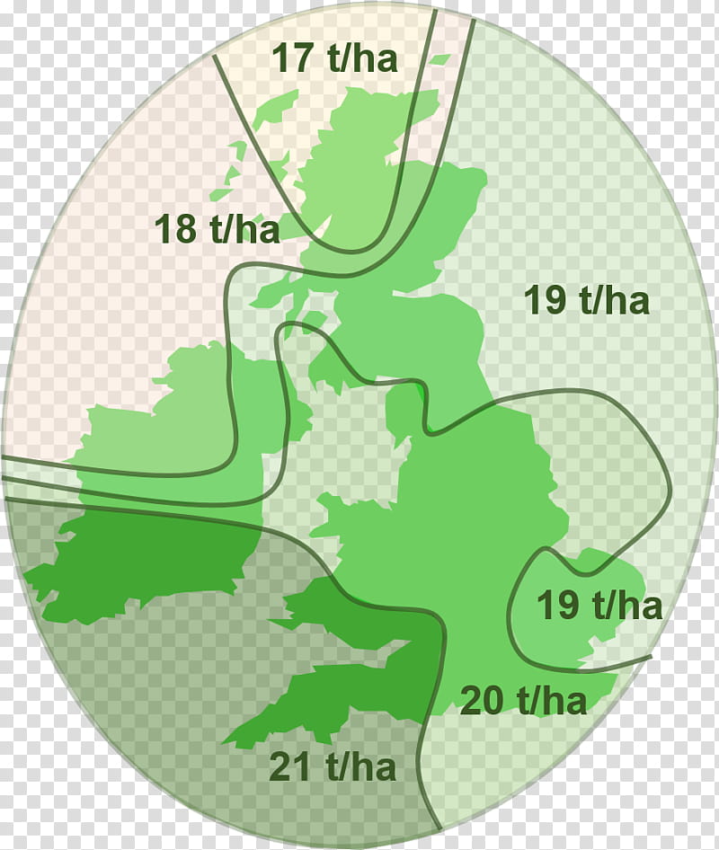 Green Grass, Japanese Yen, Current Yield, Wheat, United Kingdom, Cereal, Crop Yield, Leaf, Organization, Map transparent background PNG clipart