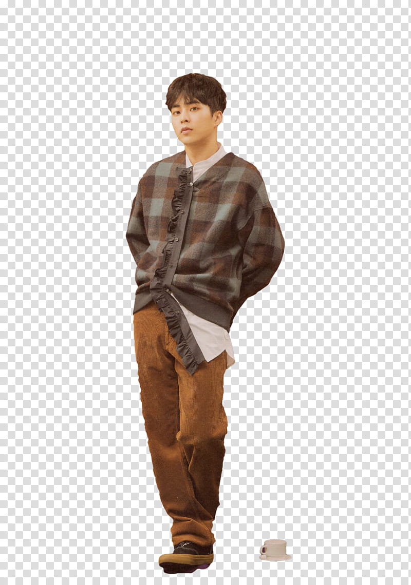 Xiumin UNIVERSE, standing man wearing gray plaid button-up shirt transparent background PNG clipart