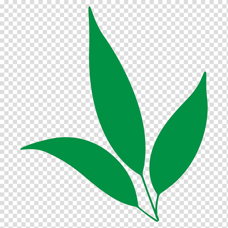 leaf green logo plant flower, Cartoon Leaf, Cute Leaf, Leaf transparent background PNG clipart