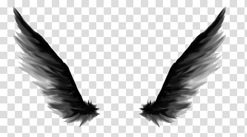 Dark, two gray-and-black wings transparent background PNG clipart