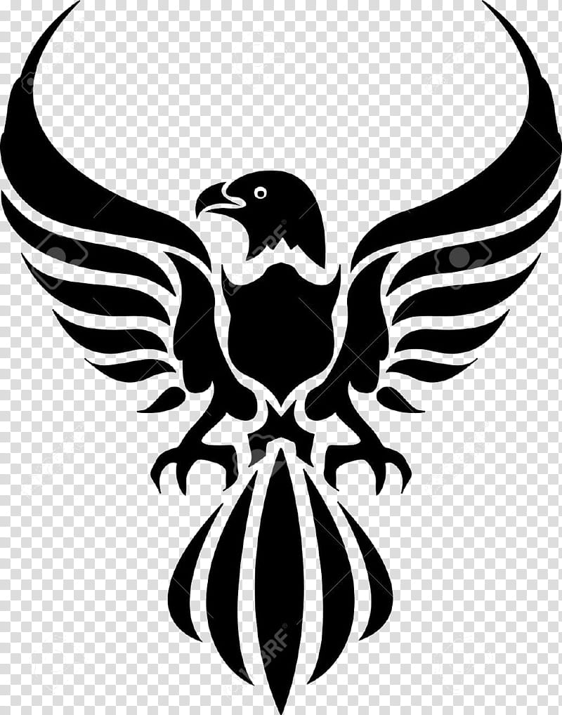 Phoenix Bird, Tattoo, Eagle, Drawing, Idea, Bald Eagle, Mehndi, Henna transparent background PNG clipart