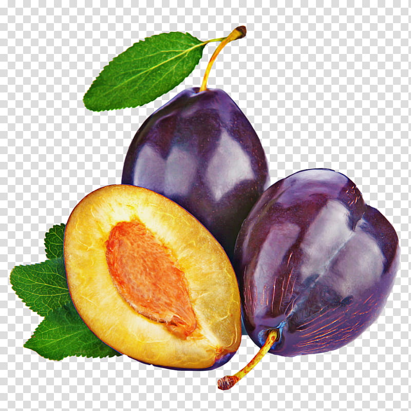 european plum fruit natural foods food plant, Tree, Prune, Superfood, Common Fig transparent background PNG clipart