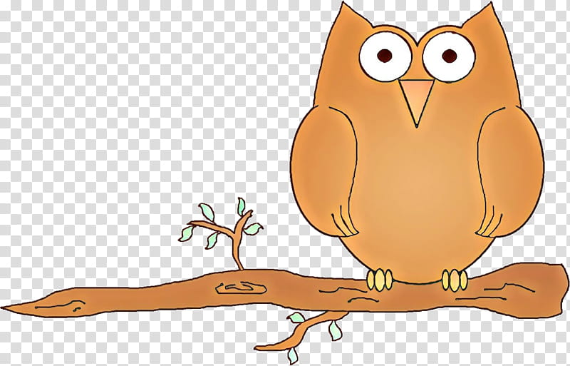 owl bird bird of prey cartoon eastern screech owl, Beak, Branch, Tail transparent background PNG clipart