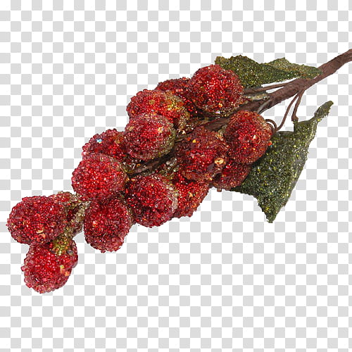 Christmas Berries, Loganberry, Blog, Tayberry, Pink Peppercorn, Strawberry, Christmas Day, Food transparent background PNG clipart