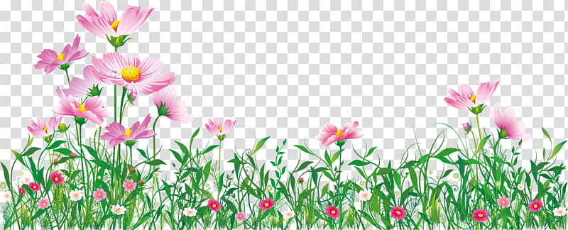 Pink Flower, Tulip, Garden, Flower Garden, Meadow, Plant, Petal, Grass transparent background PNG clipart
