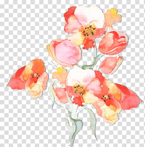 Sweet Pea Flower, Floral Design, Cut Flowers, Watercolor Painting, Flower Bouquet, Tulip, Rose Family, Plant Stem transparent background PNG clipart