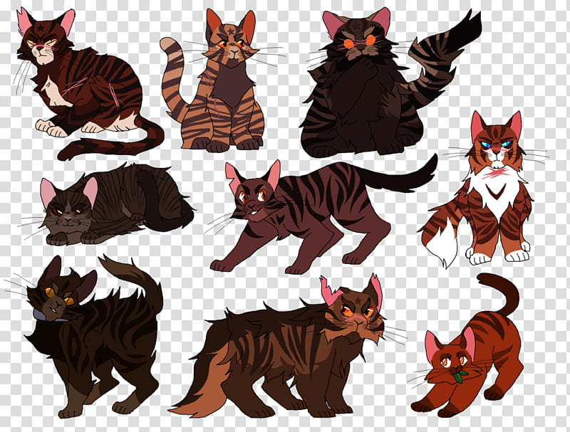 Cat And Dog, Whiskers, Artist, Selfish Machines, Warriors, Community, Wildlife, Kitten transparent background PNG clipart