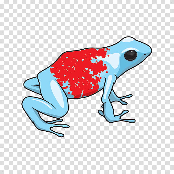 Frog, Toad, True Frog, Drawing, Poison Dart Frog, Cane Toad, Line Art, Golden Poison Frog transparent background PNG clipart