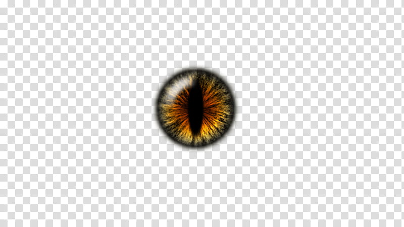 IRIS, dragon eye transparent background PNG clipart