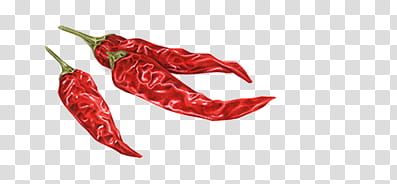 , three red chili art transparent background PNG clipart