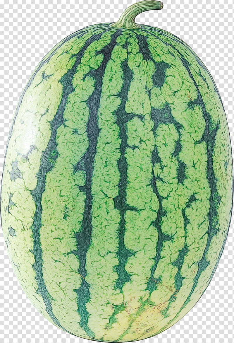 Watermelon, Muskmelon, Fruit, Square Watermelon, Food, Citrullus Lanatus Var Lanatus, Cucurbits, Cucumber transparent background PNG clipart