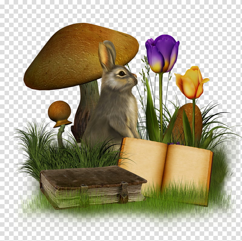 bunny, grey rabbit transparent background PNG clipart