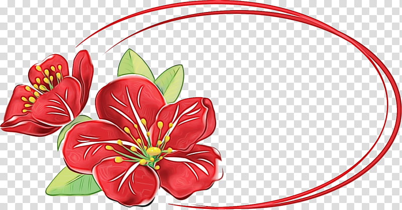 red flower plant anthurium petal, Flower Oval Frame, Floral Oval Frame, Watercolor, Paint, Wet Ink transparent background PNG clipart