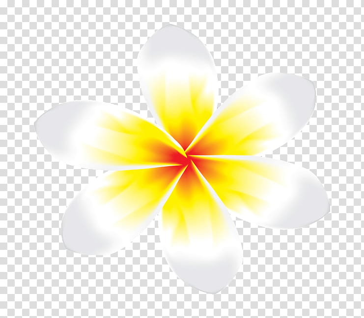 Frangipani Flower Lei Blume Plants Yellow Petal Close Up Symmetry Transparent Background Png Clipart Hiclipart