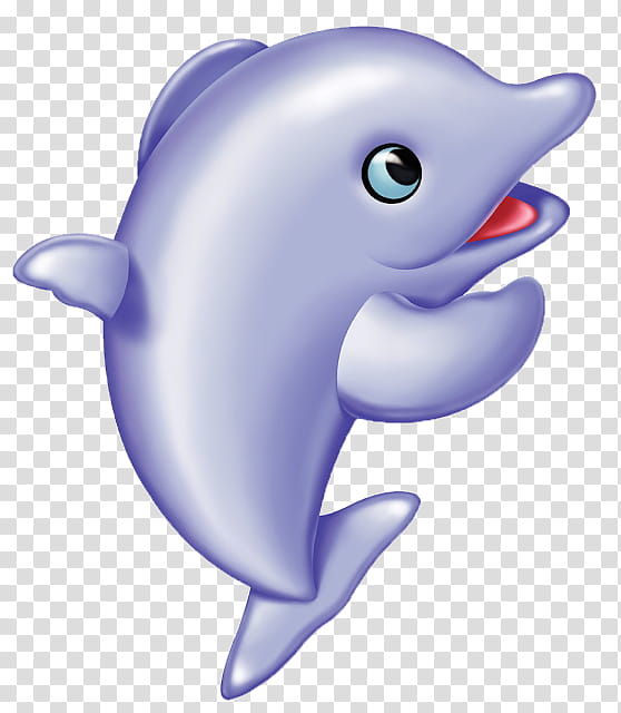 Fish, Dolphin, Spinner Dolphin, Ubuntu, Whales, Animal, Gratis, Avatar transparent background PNG clipart