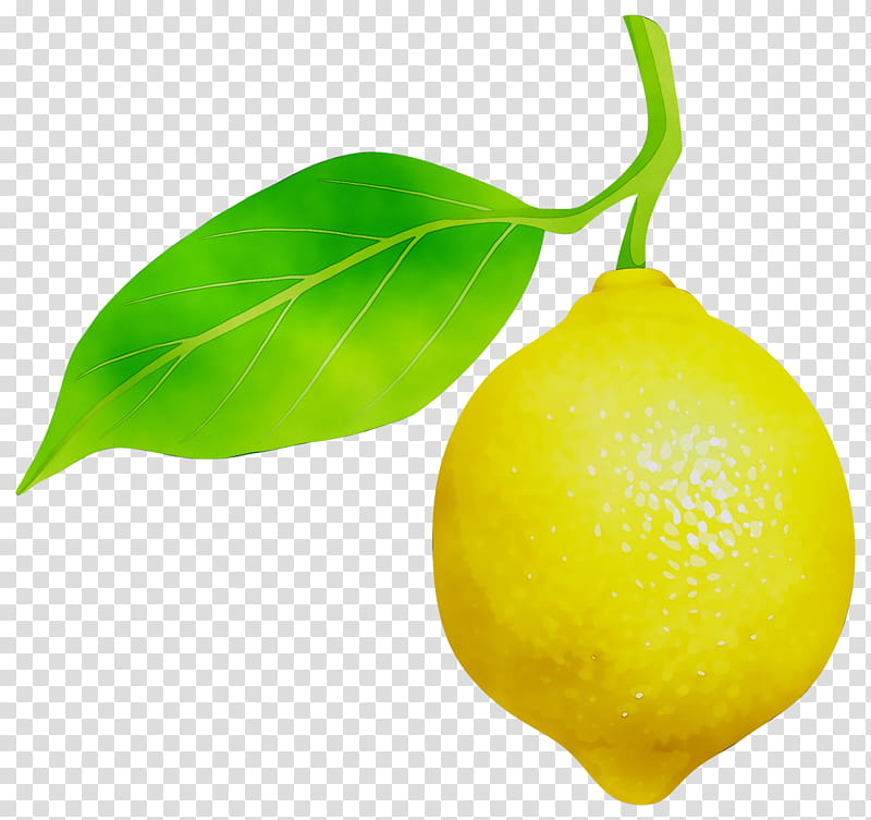 Lemon Tree, Key Lime, Citron, Sweet Lemon, Vegetarian Cuisine, Persian Lime, Lemonlime Drink, Meyer Lemon transparent background PNG clipart