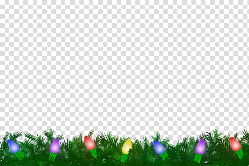 Christmas Materials , assorted-color string lights footer transparent background PNG clipart