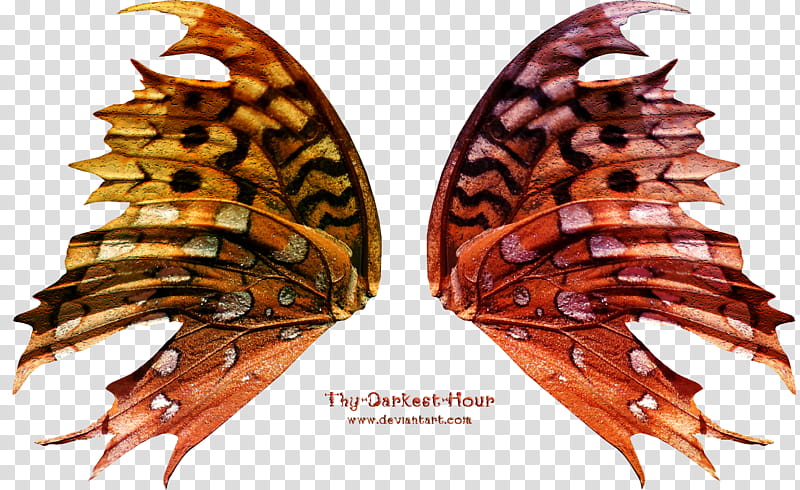Fairy Wings, yellow and red butterfly wings illustration transparent background PNG clipart