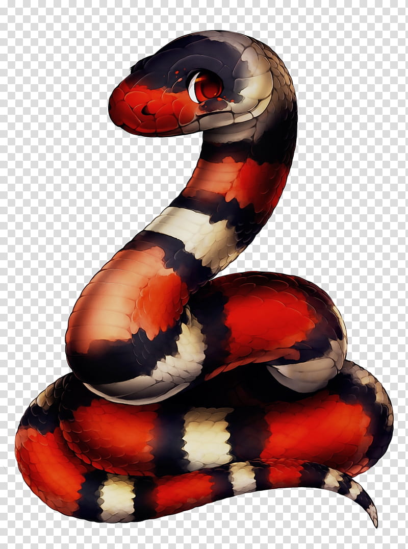 Picsart, Snakes, Reptile, Ball Python, Corn Snake, King Cobra, Feathered Serpent, Scaled Reptiles transparent background PNG clipart