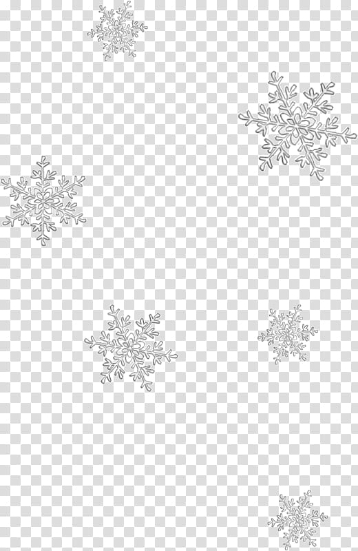 Snowflake, White, Blizzard, Weather, Song, Black And White
, Tree, Sky transparent background PNG clipart