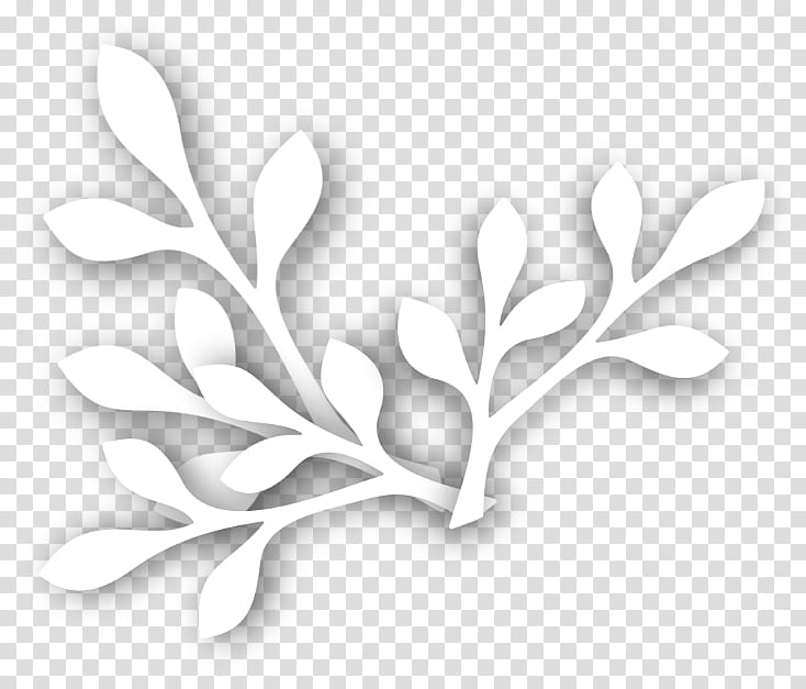 seamless, white plant transparent background PNG clipart