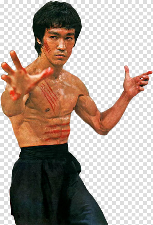 Bruce Lee Render x transparent background PNG clipart