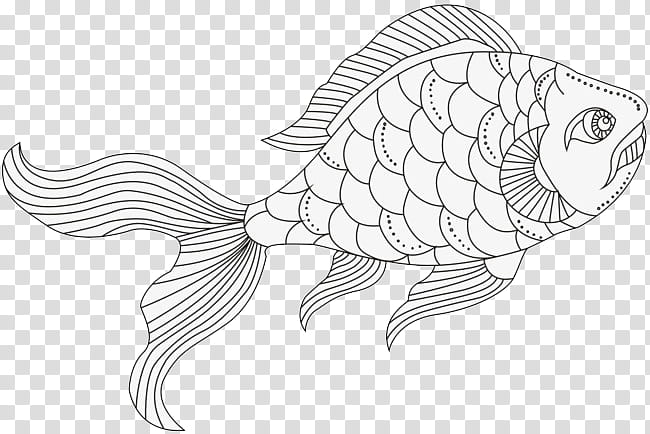 Color, Fish, Chemical Element, Line Art, Black And White
, Head, Wing, Drawing transparent background PNG clipart