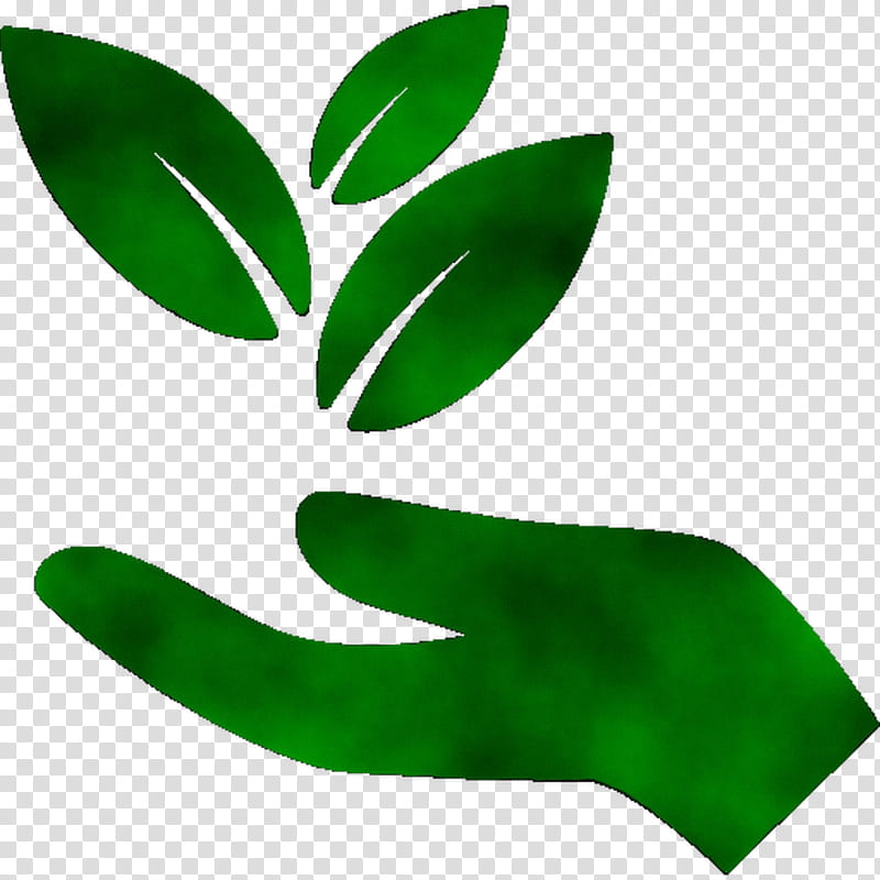 Green Leaf Logo, Cinnamomum Kanehirae, Camphor Tree, Essential Oil, Soil, Endangered Species, Stout, EXTINCTION transparent background PNG clipart