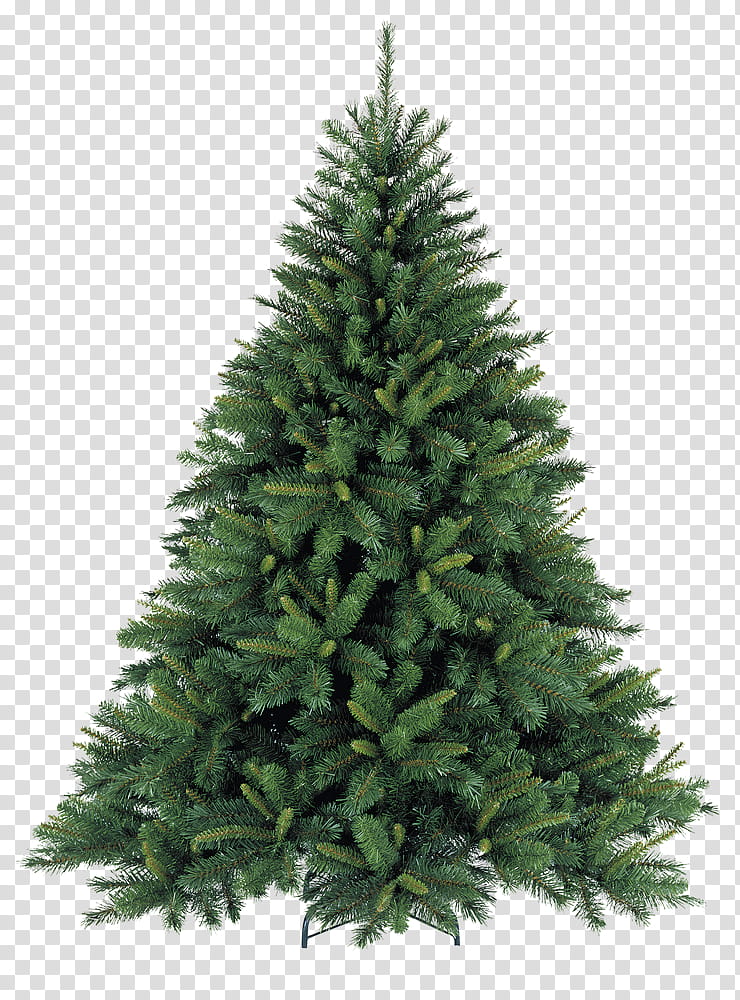 Christmas Resource , green Christmas tree transparent background PNG clipart