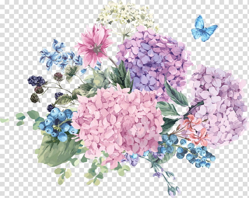 Bouquet Of Flowers Drawing, Watercolor Painting, French Hydrangea, Hydrangeaceae, Lilac, Plant, Cut Flowers, Cornales transparent background PNG clipart