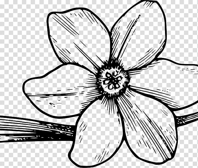 Flower Line Art, Coloring Book, Floral Design, Drawing, Flowering Dogwood, Flower Bouquet, Flower Garden, Page transparent background PNG clipart