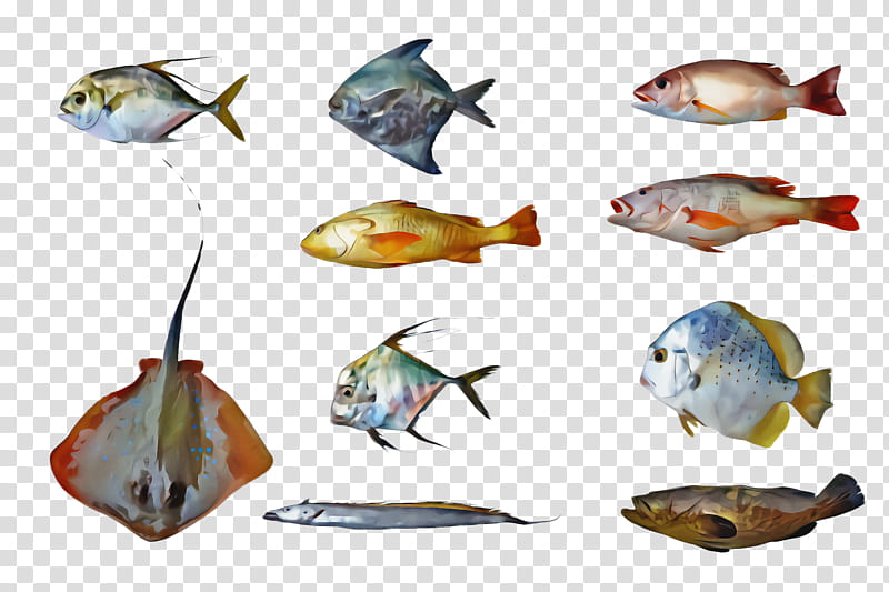 fish fish bony-fish pomacentridae, Bonyfish transparent background PNG clipart