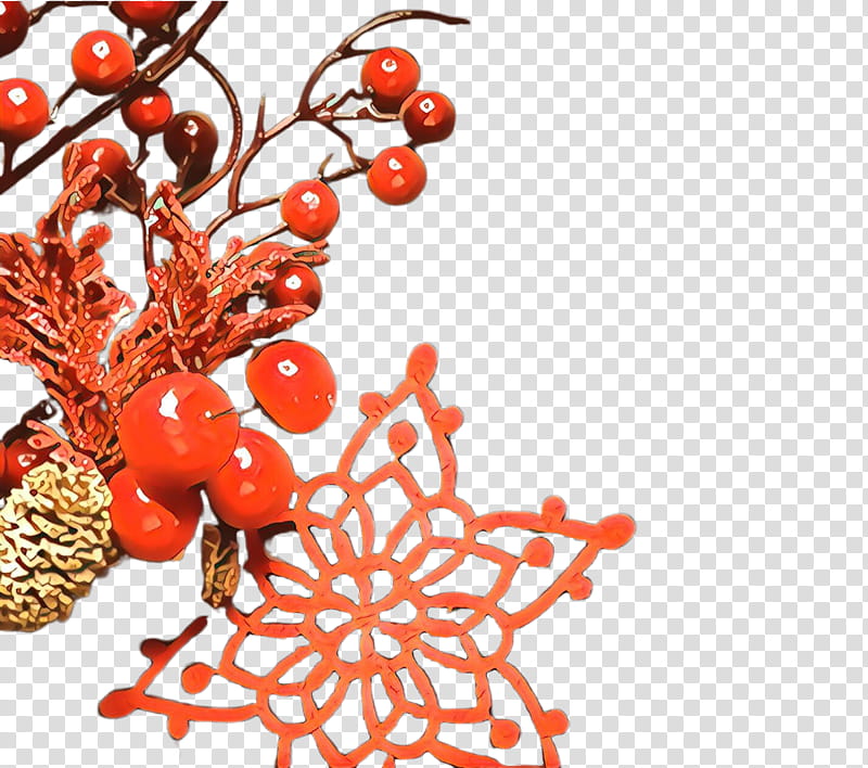 plant tree superfruit branch fruit, Chinese Hawthorn, Twig transparent background PNG clipart