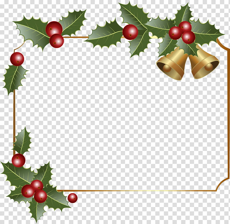 Holly, Plant, Fir, Berry, Pine Family transparent background PNG clipart