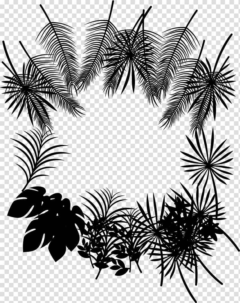 Black And White Flower, Palm Trees, Leaf, Black White M, Plants, Drawing, Pine, Tropics transparent background PNG clipart