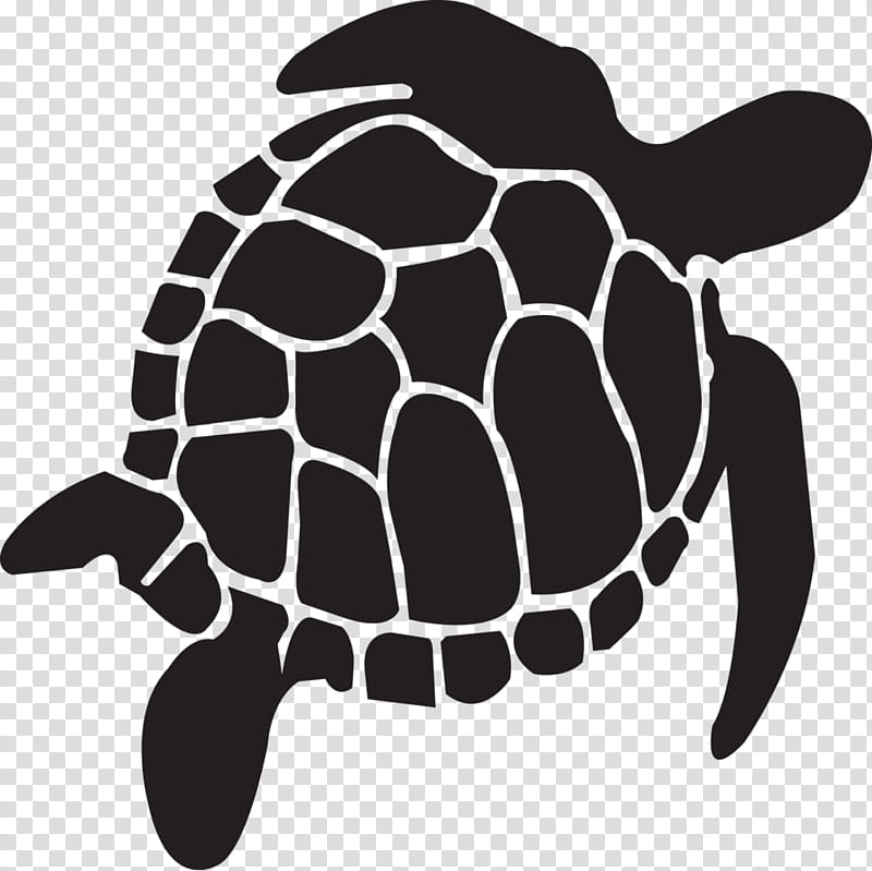 Sea Turtle, Tortoise, Reptile, Loggerhead Sea Turtle, Drawing, Modern Sea Turtles, Kemps Ridley Sea Turtle, Box Turtles transparent background PNG clipart