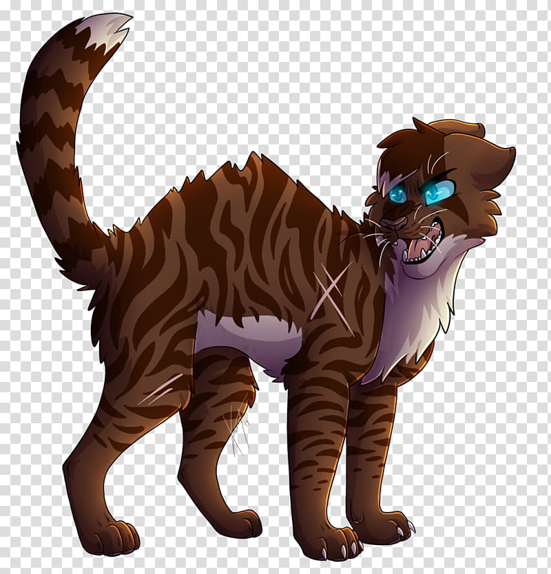 Cats, Warriors, Ivypool, Hawkfrost, Drawing, Dovewing, Firestar, Whiskers transparent background PNG clipart