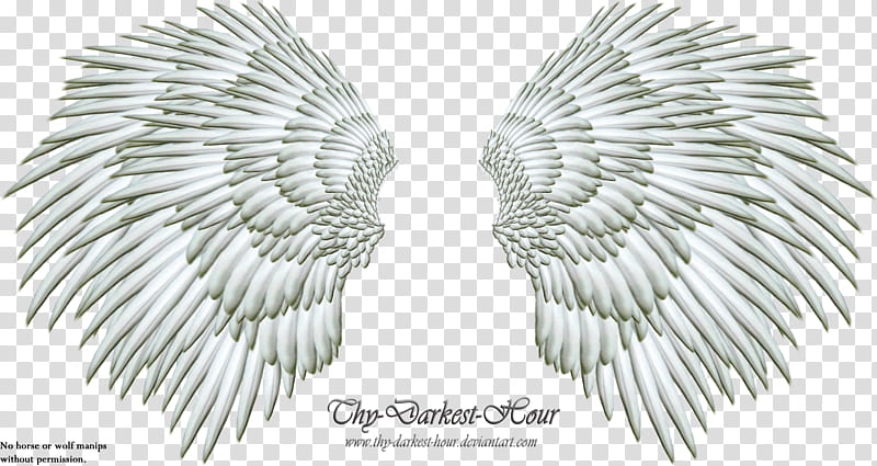 Silver Angel Wing, gray wings illustration transparent background PNG clipart