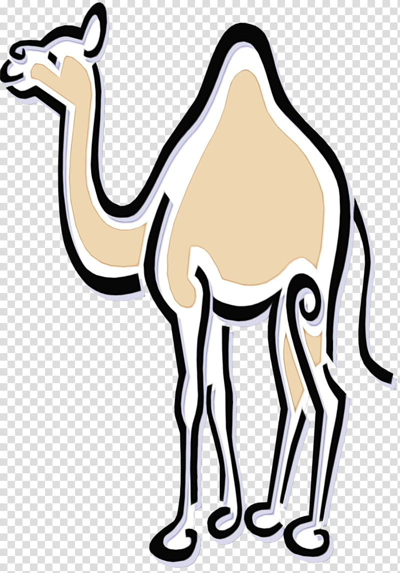 Watercolor Animal, Dromedary, Drawing, Bactrian Camel, Cartoon, Watercolor Painting, Line Art, Camelid transparent background PNG clipart